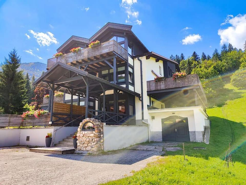 Chihuahua's Ötscher Apartment, but people are also very welcome in our eco-friendly resort! Apartment in Austria