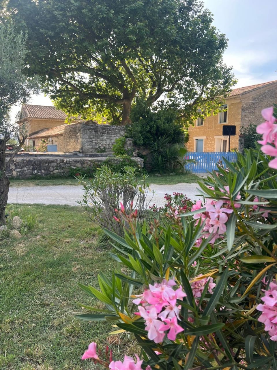 Natural landscape, Garden, Garden view