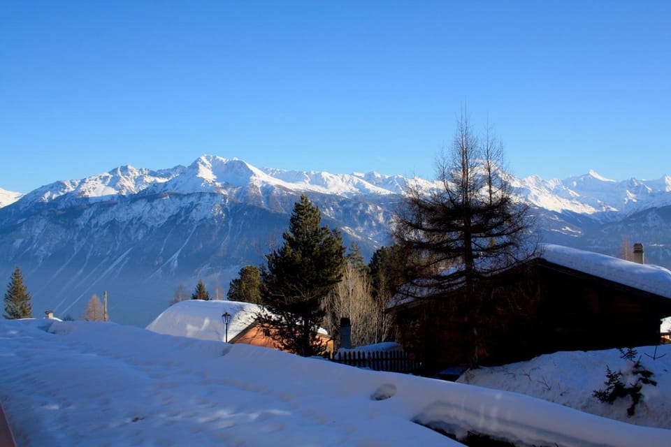 Garden view, Mountain view, Quiet street view
