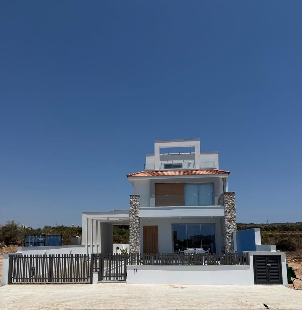 Theo luxury Napa villa Villa in Ayia Napa