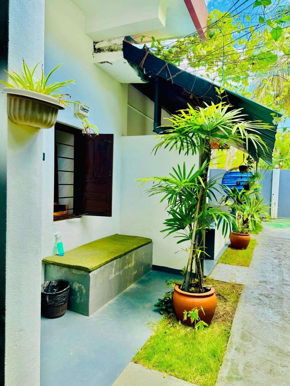 Garden view