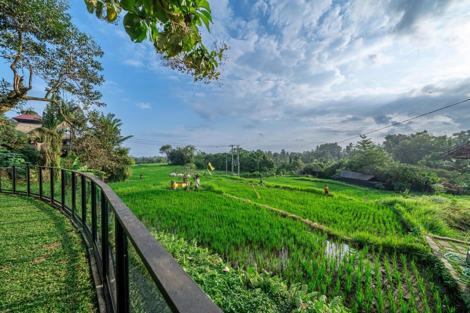 Natural landscape, View (from property/room)