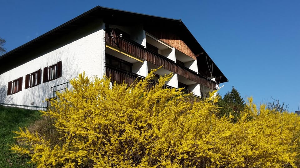 Facade/entrance, Spring