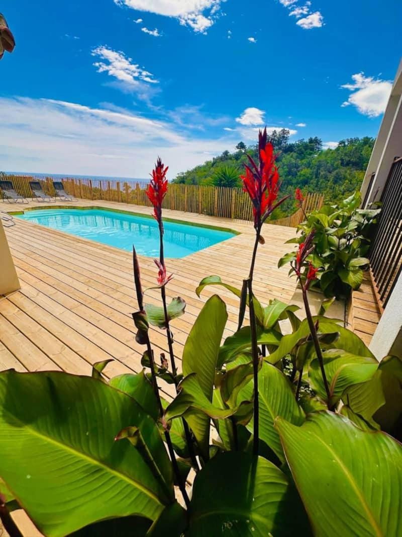 Day, Pool view, Sea view, Swimming pool, sunbed