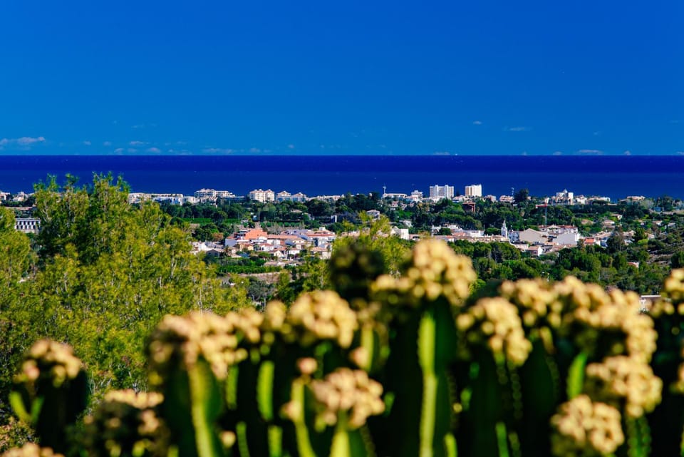 Day, Natural landscape, Garden, Sea view