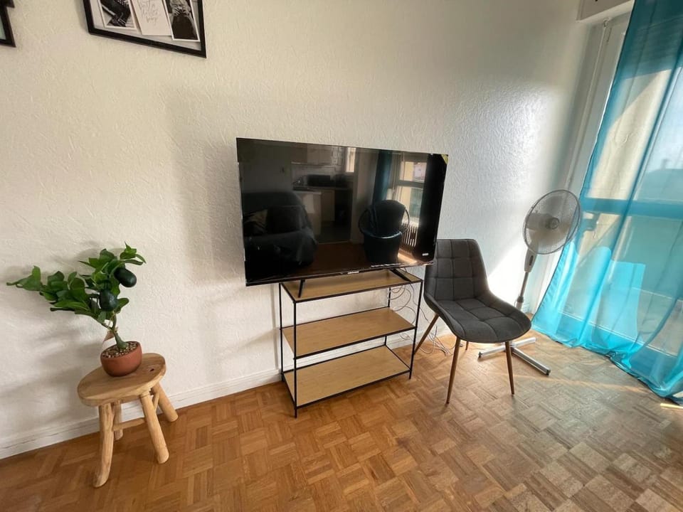 TV and multimedia