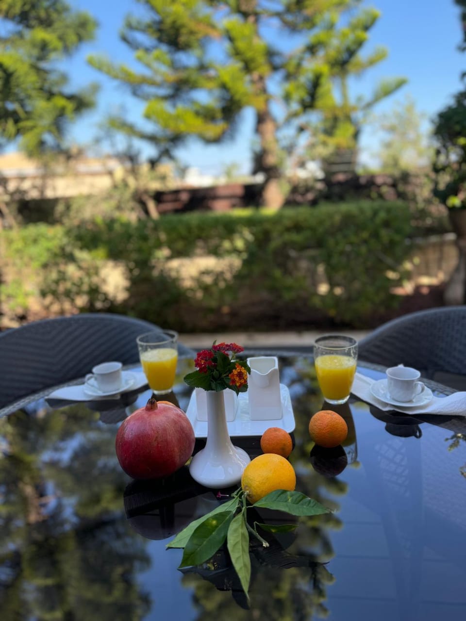 Garden, Food and drinks, Breakfast