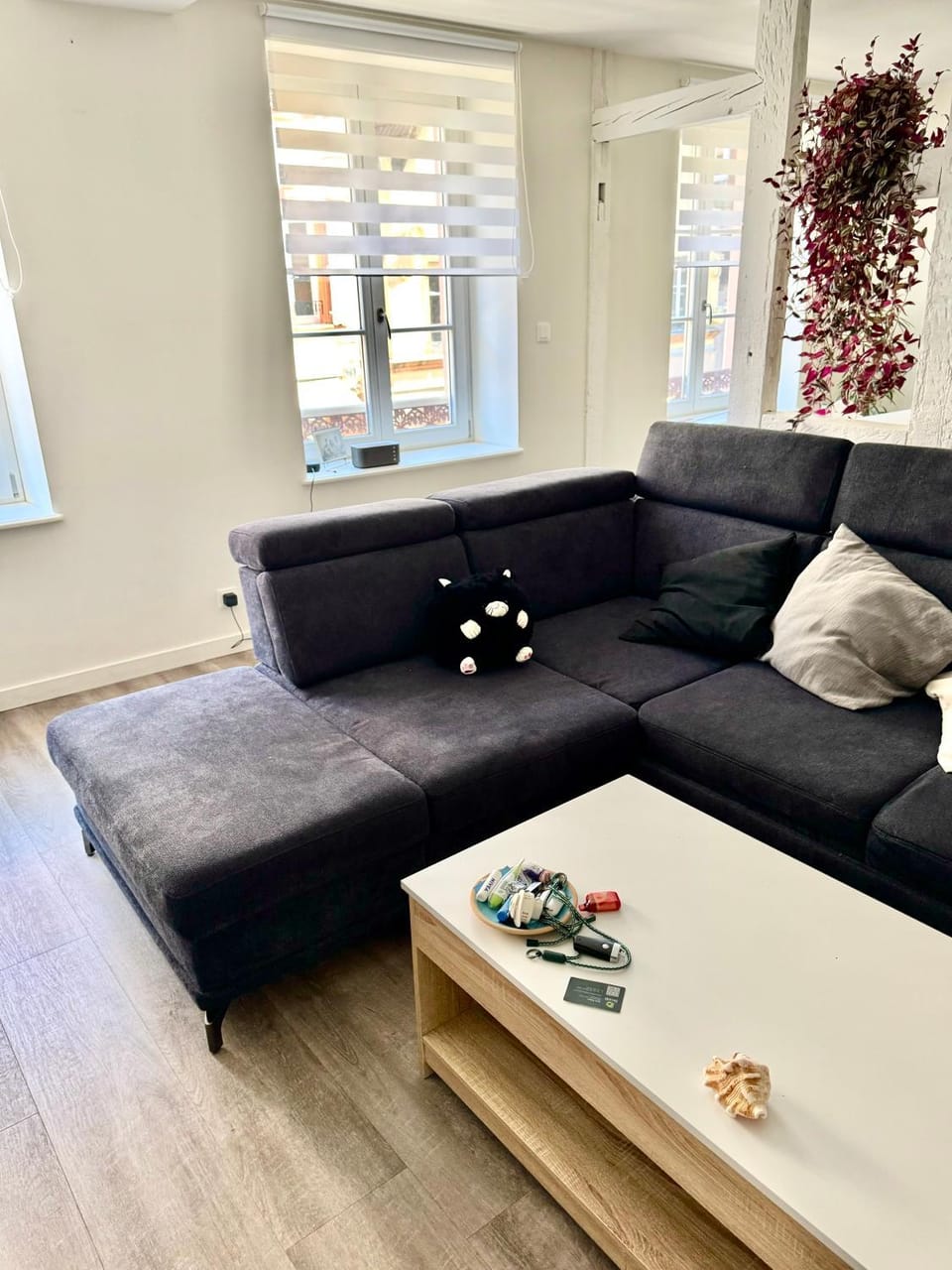 Grand et lumineux 2 pièces avec climatisation en zone pietonne Apartment in Haguenau