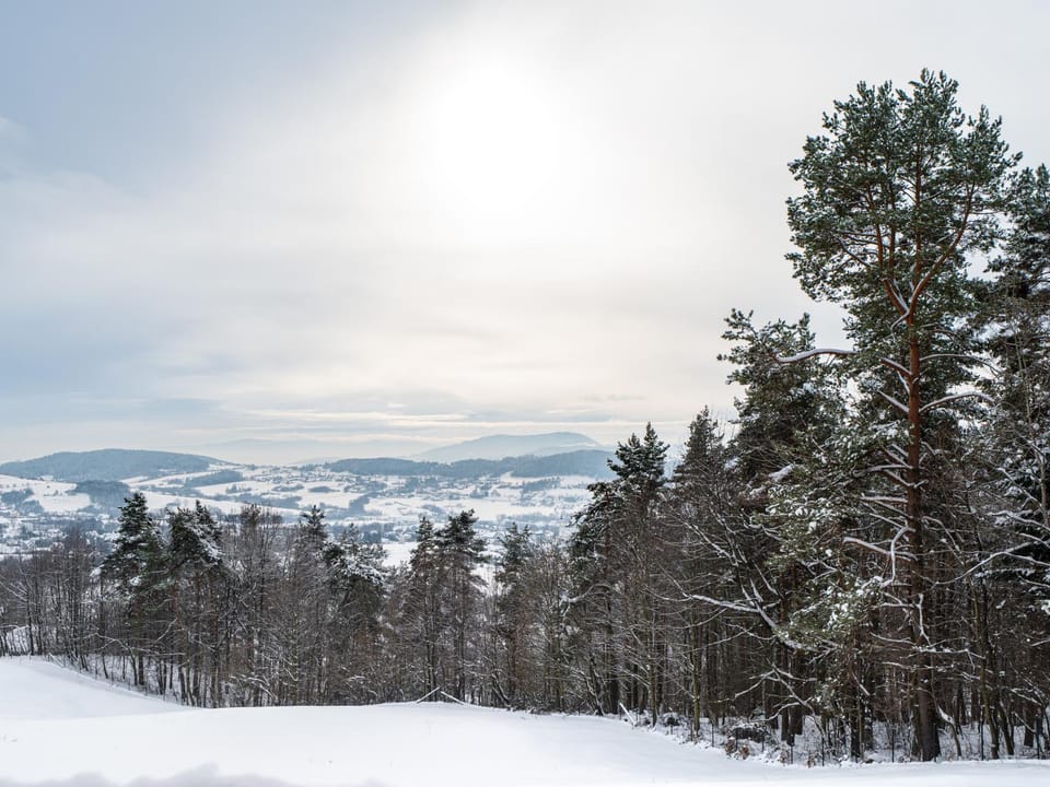 Natural landscape, Winter, Mountain view
