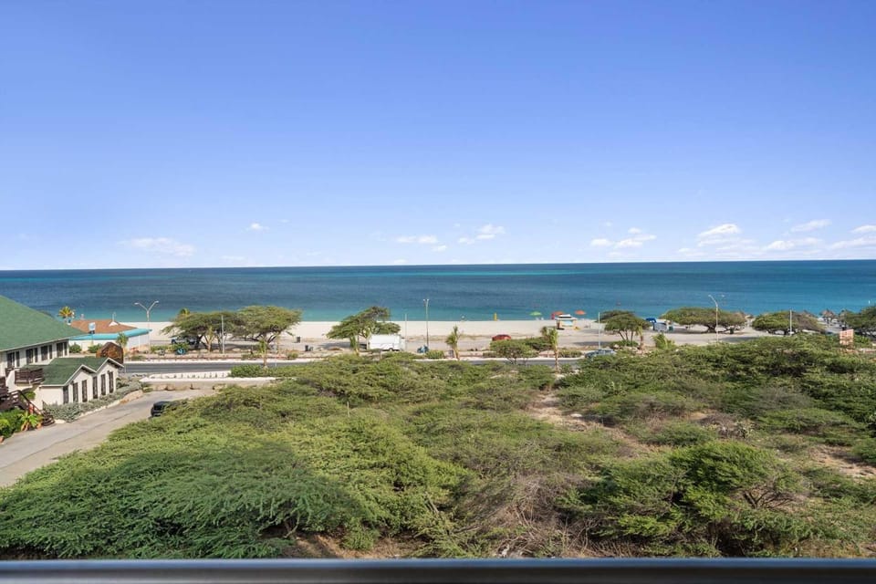 Beach View - Vista Paradiso 2BR condo - LV410 House in Noord