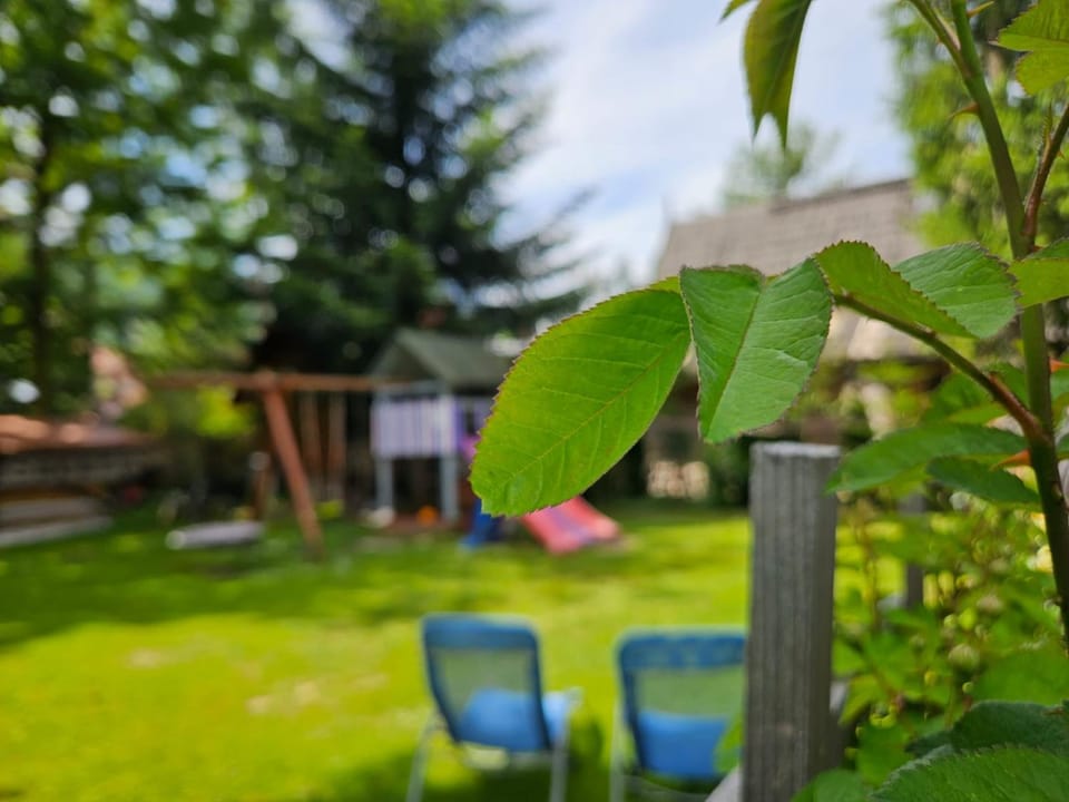 Spring, Day, Children play ground, Garden, Garden view