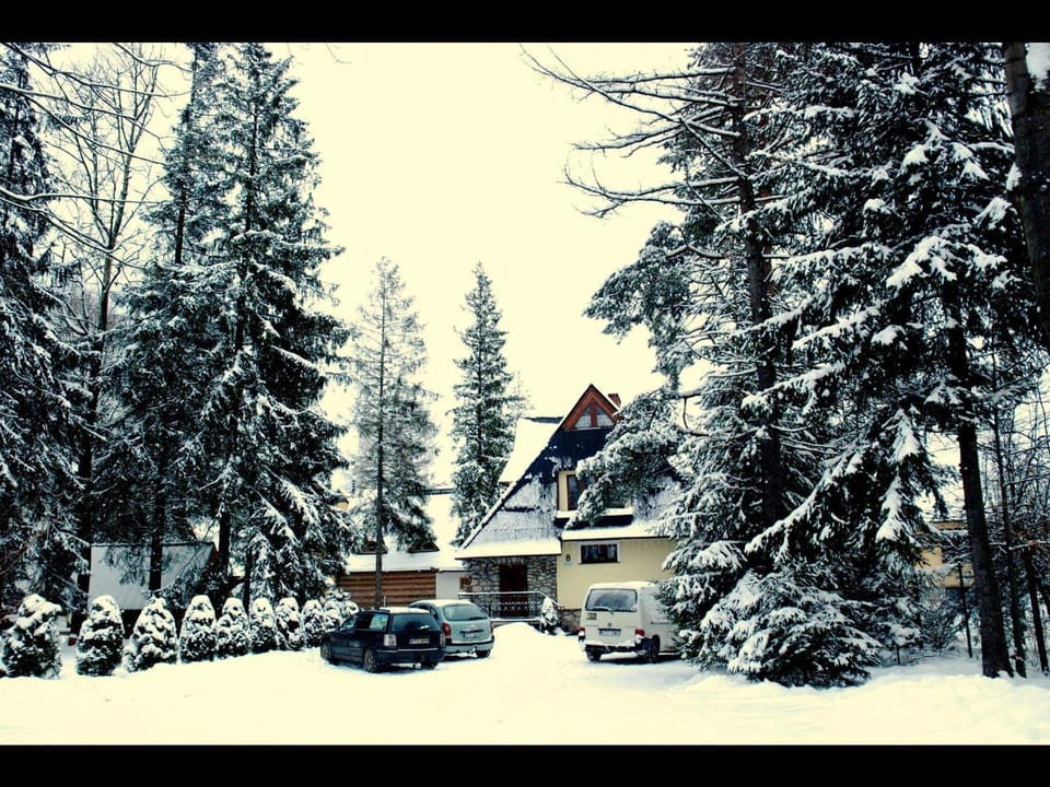 Property building, Day, Winter, Garden
