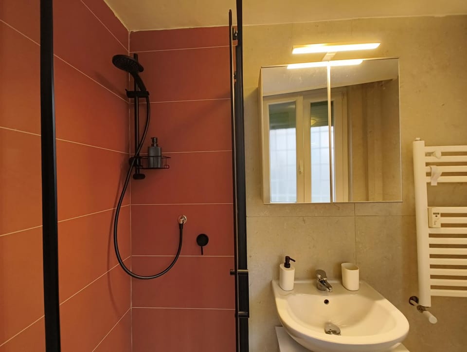 Shower, Bathroom