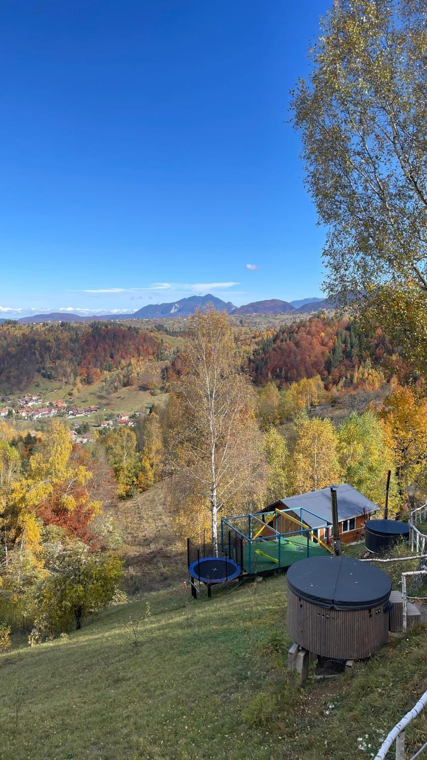 A-frame Muchia Scortii Nature lodge in Brașov County