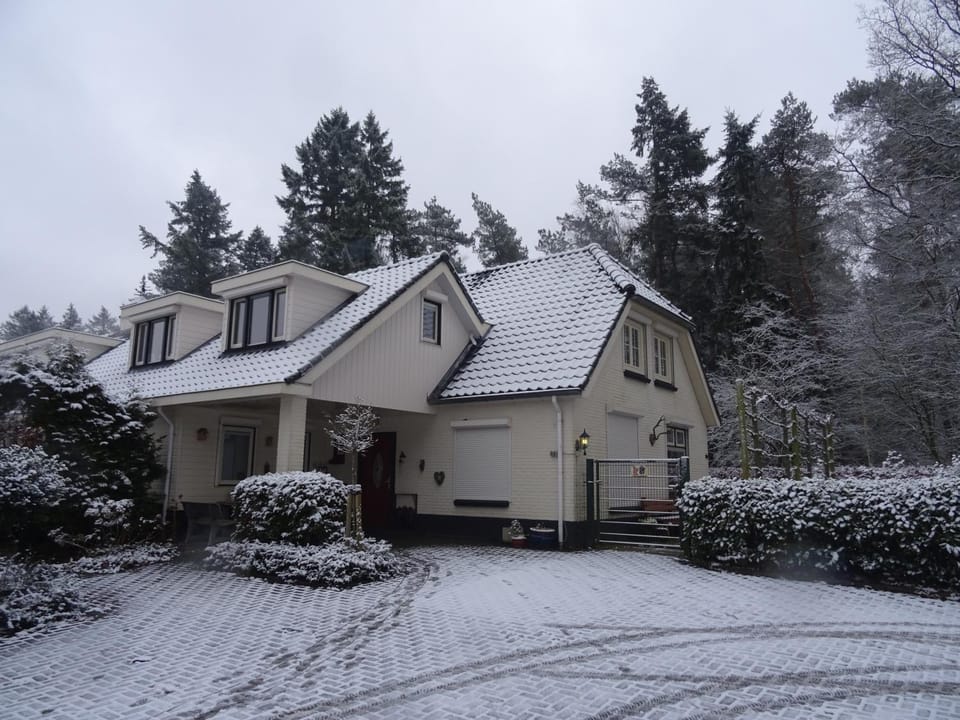 Property building, Facade/entrance, Natural landscape, Winter