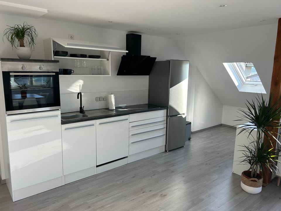 Kitchen or kitchenette, dishwasher, oven, stove