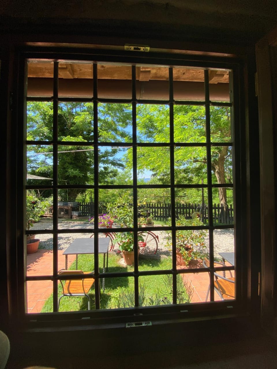 Garden view