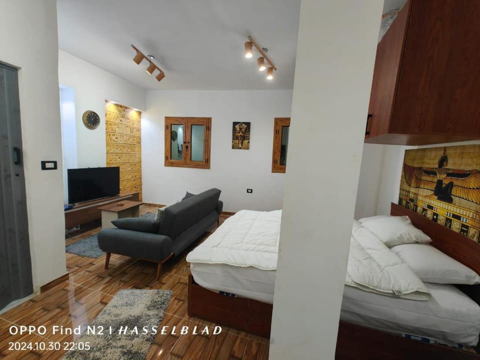 Bed, TV and multimedia, Living room, Photo of the whole room, Seating area, Bedroom
