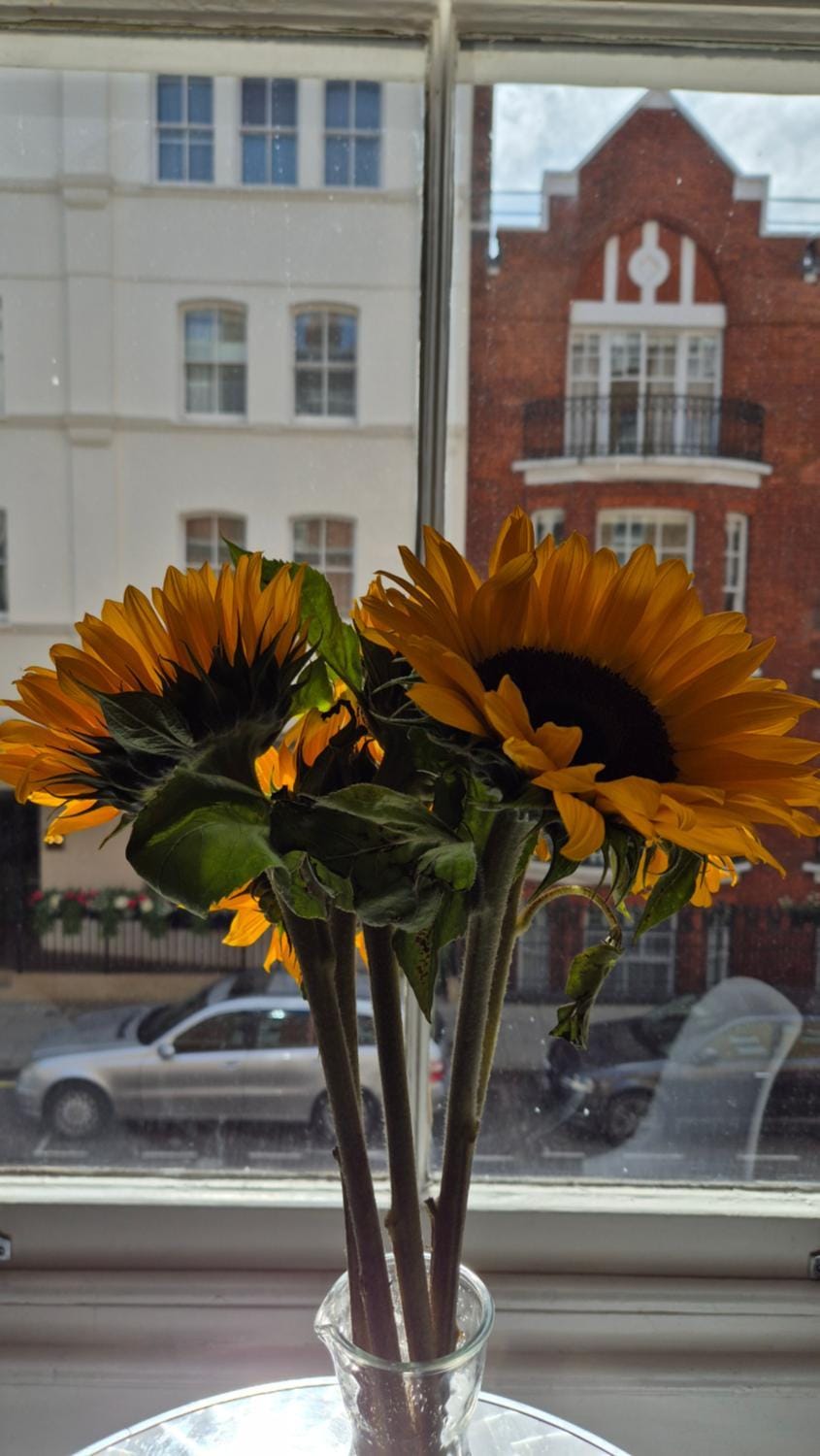 My Home in Marylebone Apartment in City of Westminster