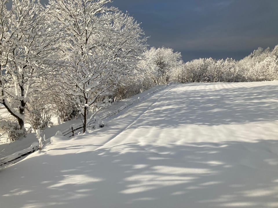 Natural landscape, Winter, Hiking