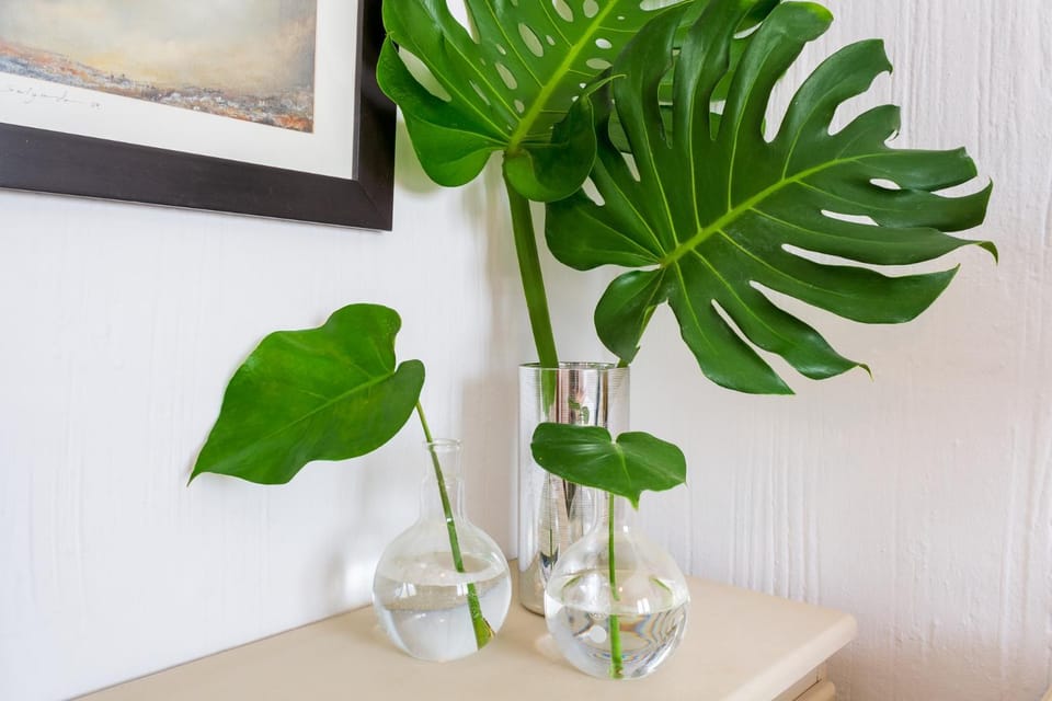Casa Doce - Pueblo Blanco Apartment in Torremolinos