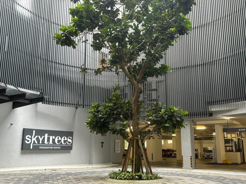 Property building, Day