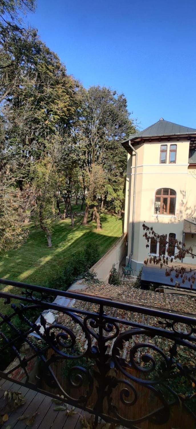 Day, Natural landscape, Garden, Garden view