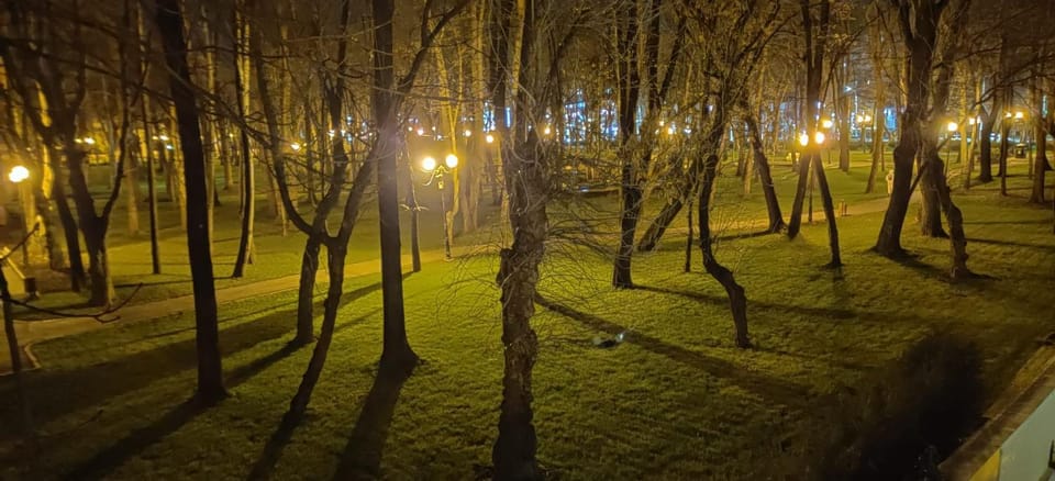 Night, Natural landscape, Garden, View (from property/room), View (from property/room), Garden view, Garden view, Landmark view, Landmark view, Quiet street view