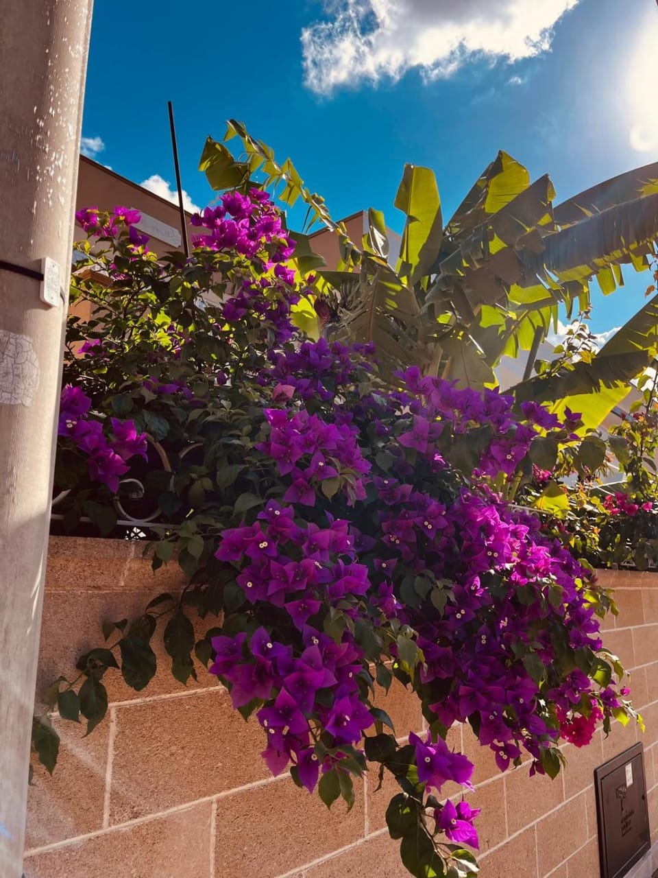 Garden, Decorative detail, Garden view