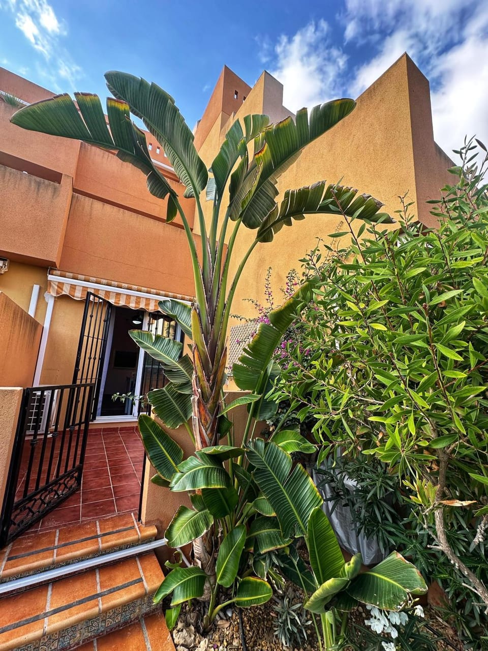 Property building, Garden, Balcony/Terrace, Garden view