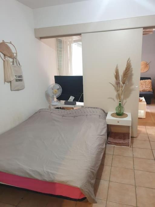 L' Appartement du Quai Neuf Parking privé - Gare à 5min Apartment in Béziers