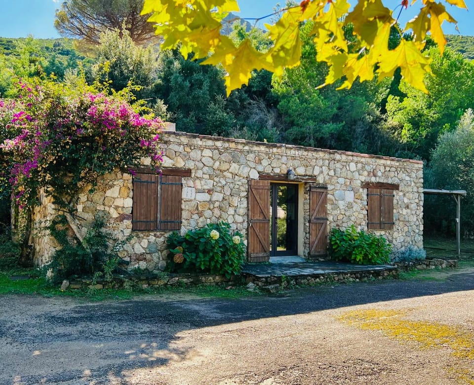 Property building, Garden view