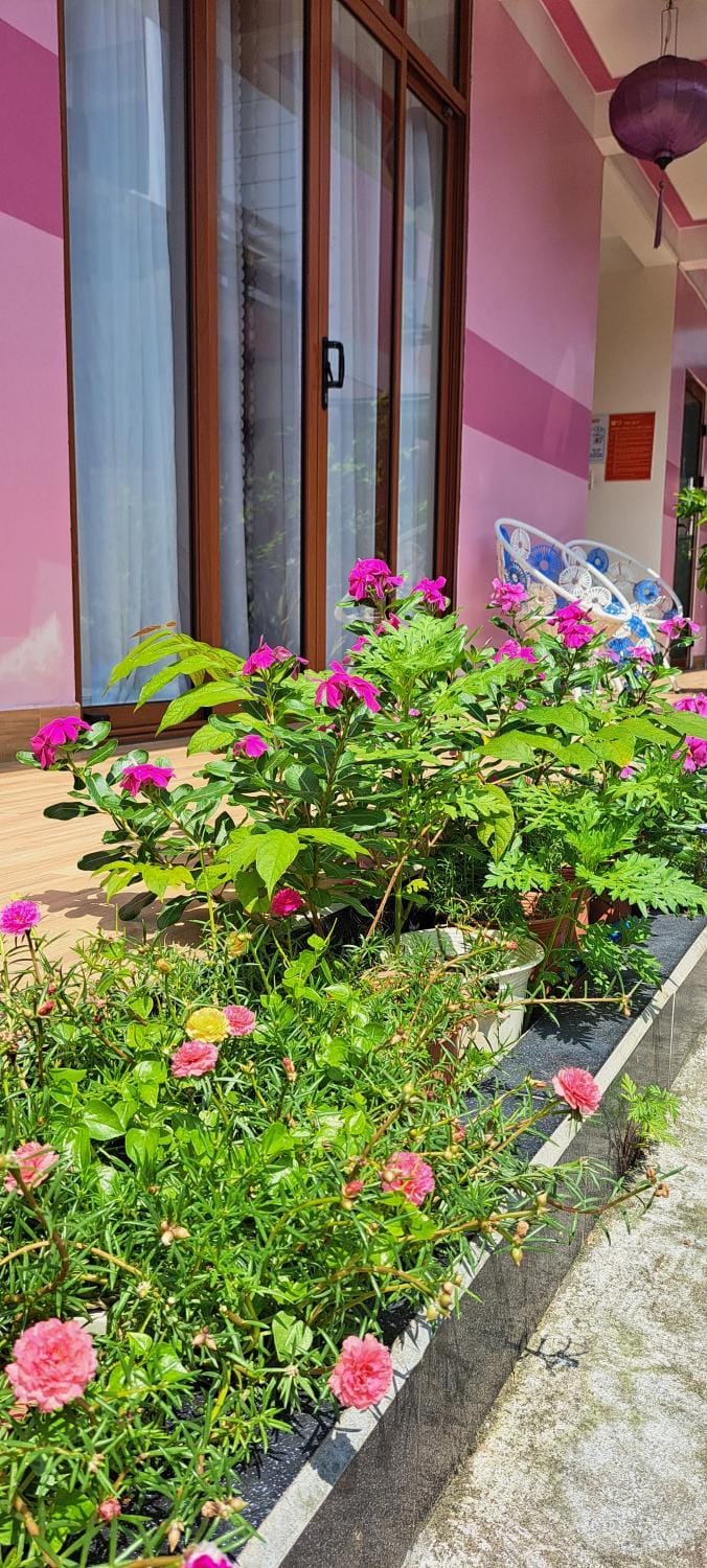 Spring, Day, Garden, Garden view