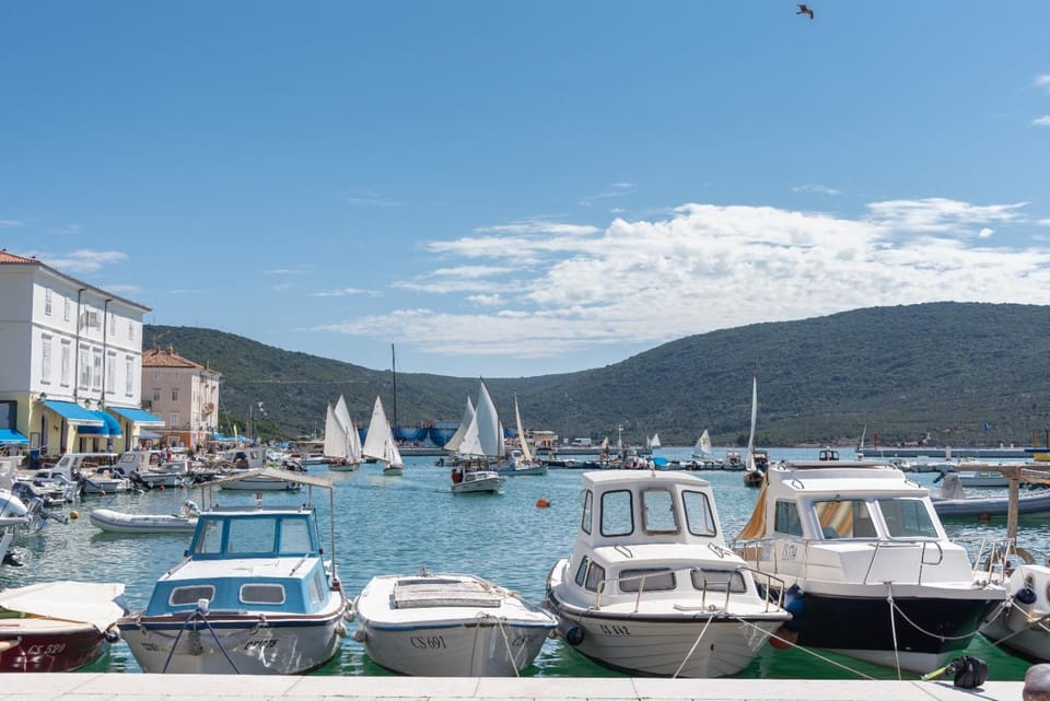 Stara Gavza 165 Apartment in Cres