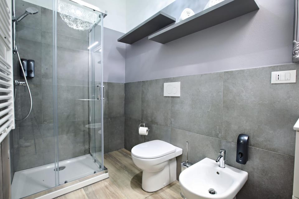 Shower, Toilet, bidet, towels