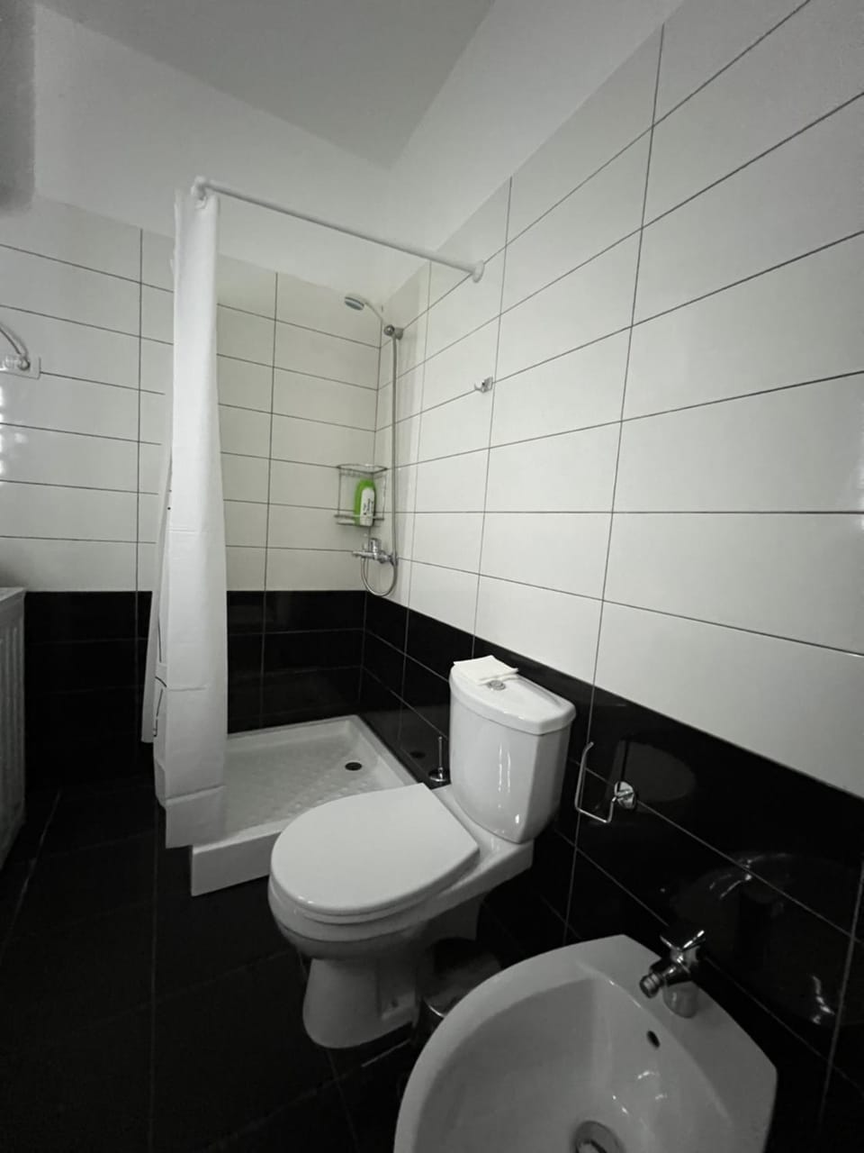 Shower, Toilet, Bathroom, bidet