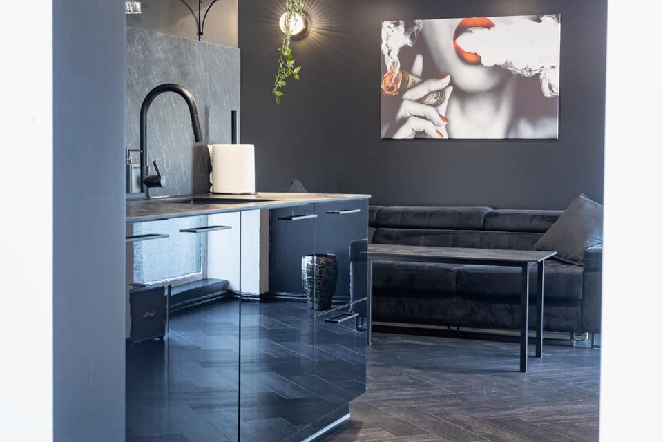 Top Loft Kaunas Apartment in Lithuania