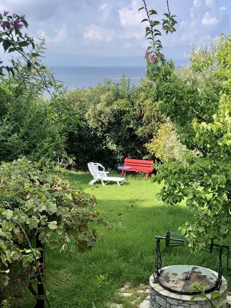 Day, Garden, Garden view