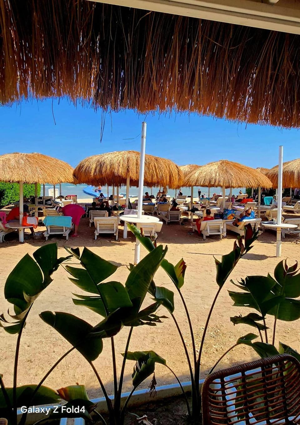 Beach, Meals