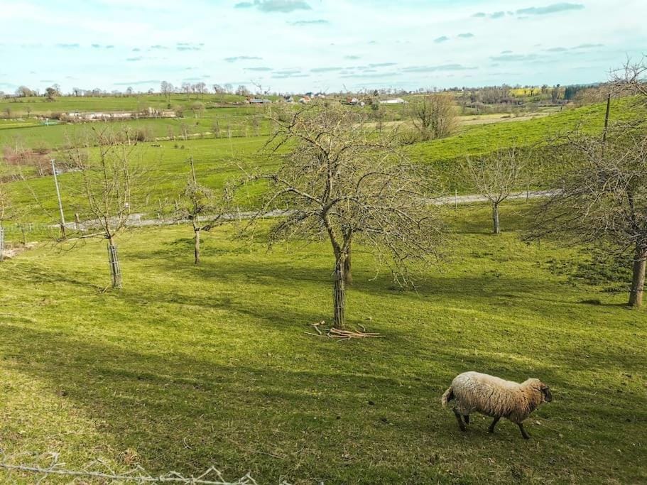 Natural landscape, View (from property/room)