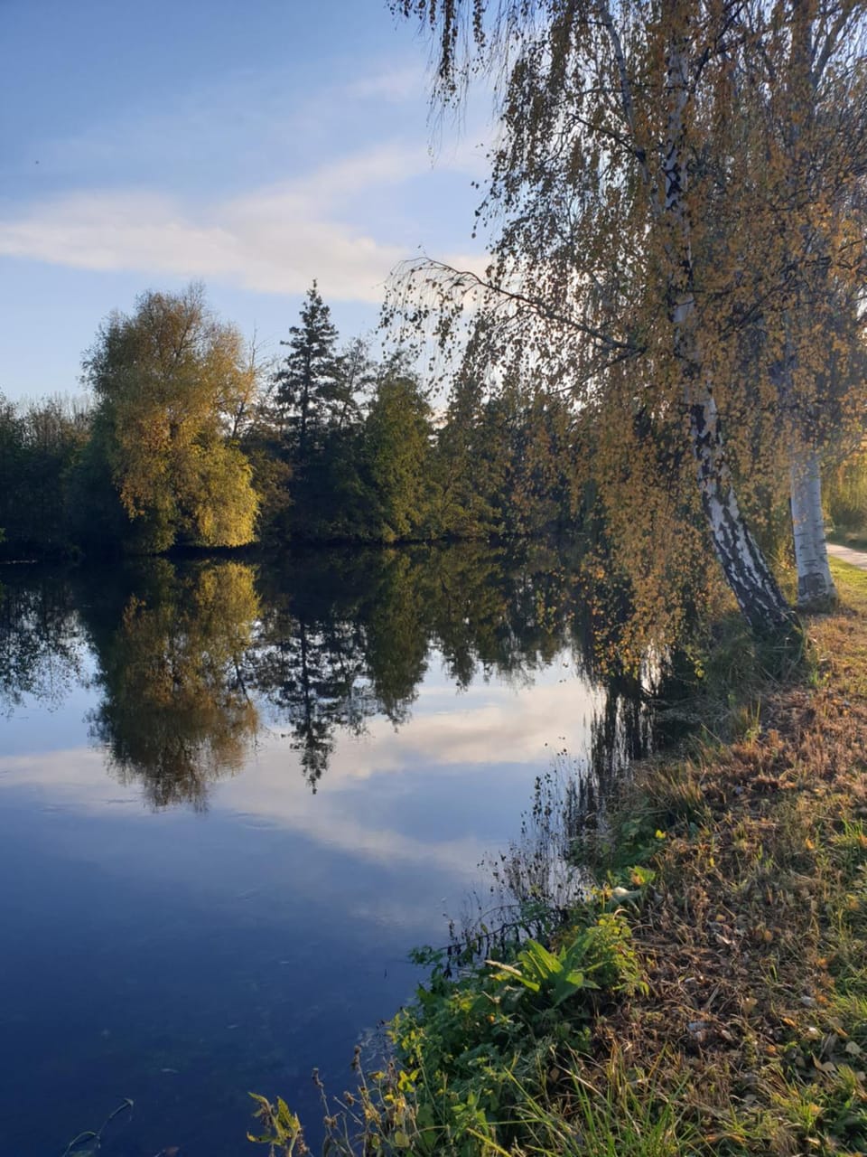 Natural landscape, River view