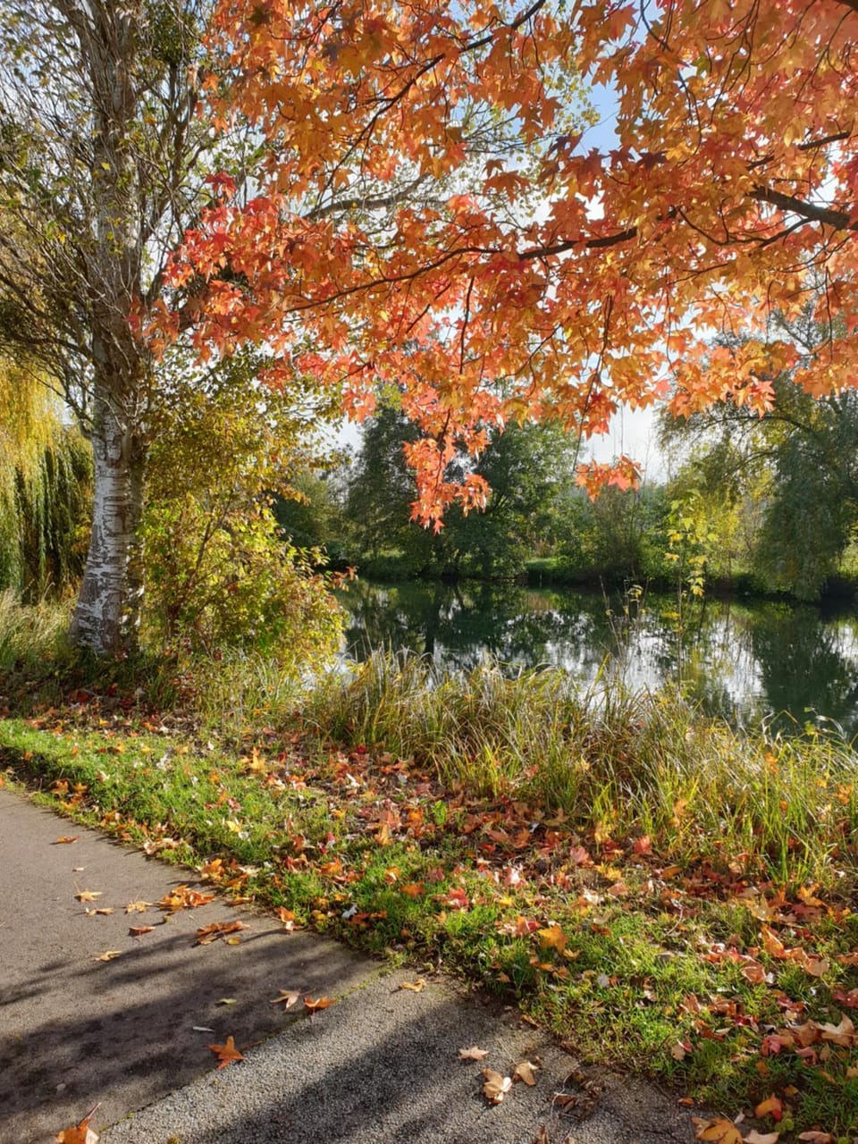 Nearby landmark, Natural landscape, River view