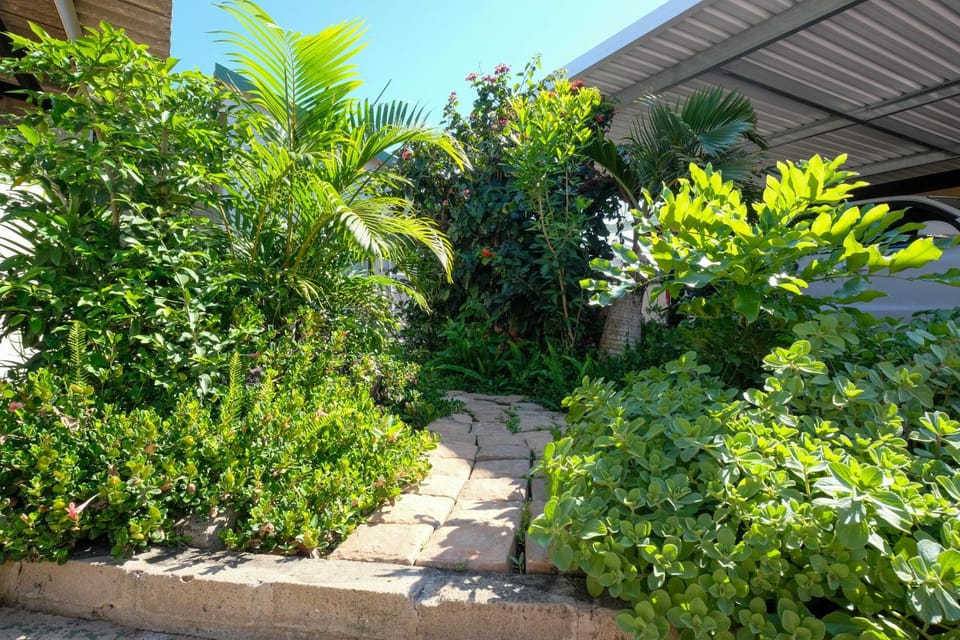 Spring, Garden, Garden, Garden view
