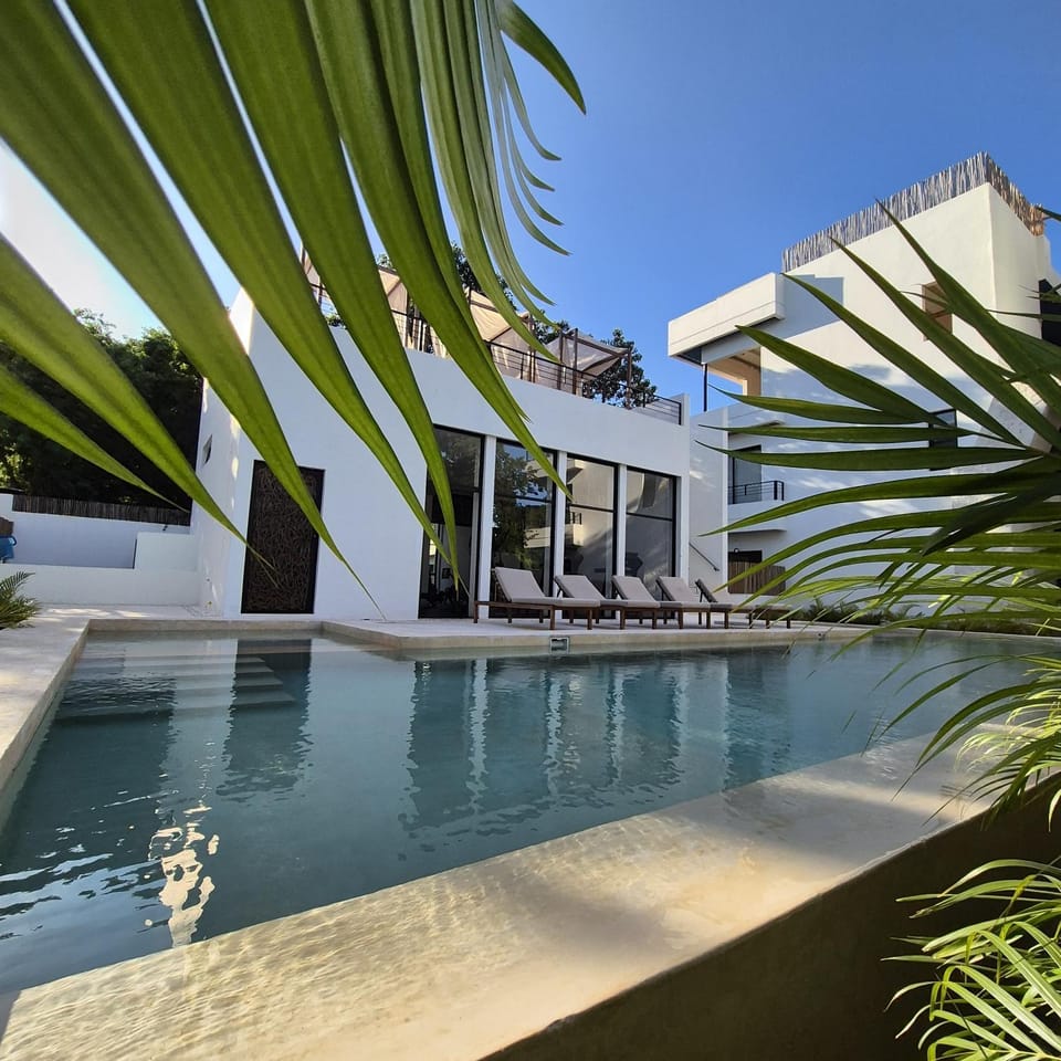 Day, Pool view, Swimming pool, sunbed