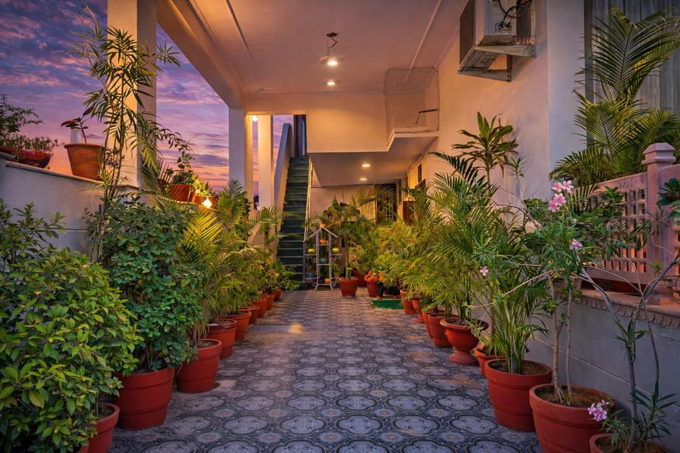 Garden view