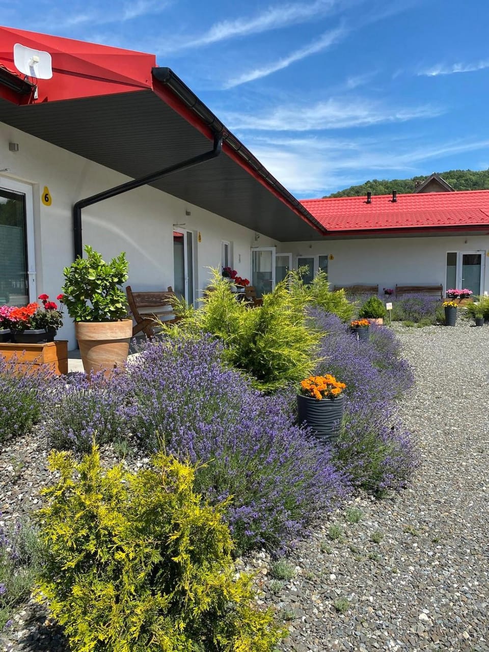 Apartamenty Pod Gruszą Apartment in Lower Silesian Voivodeship