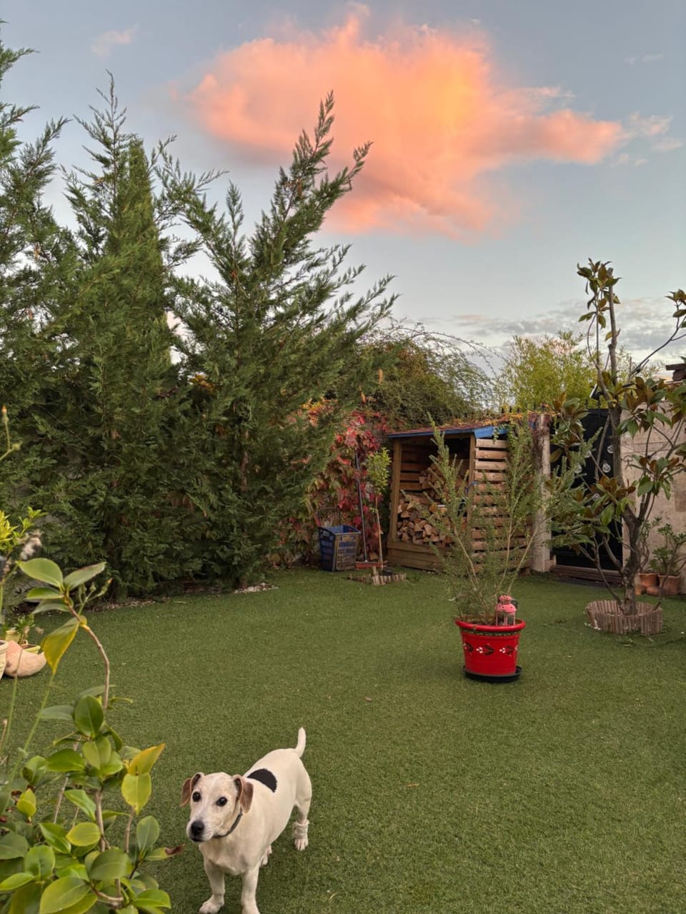 Garden view