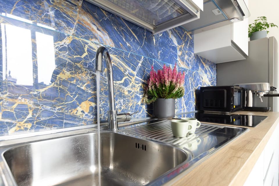 Kitchen or kitchenette, minibar, pet friendly, stove