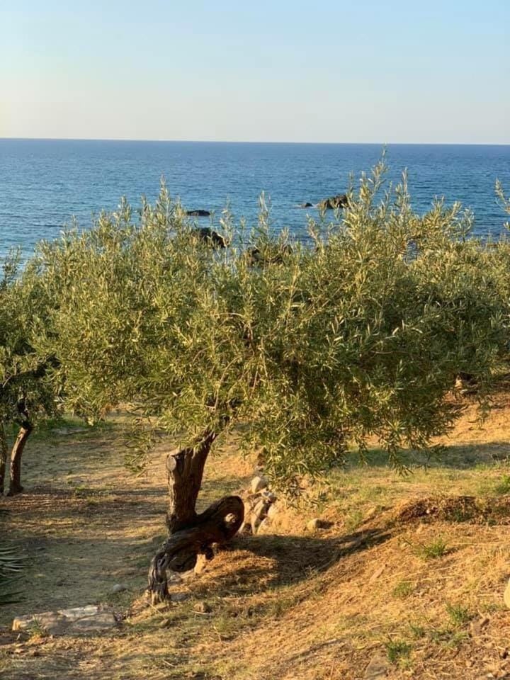 Ogliastro Sul Mare - Sleep and Dream House in Cefalu