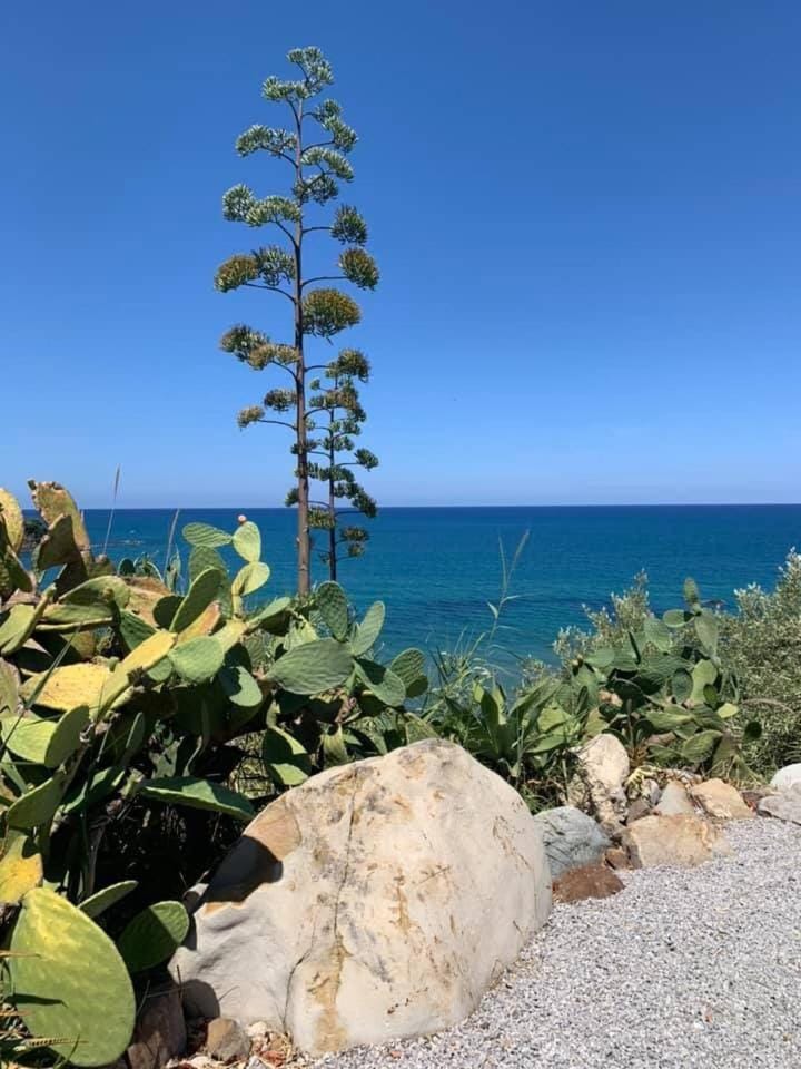 Ogliastro Sul Mare - Sleep and Dream House in Cefalu